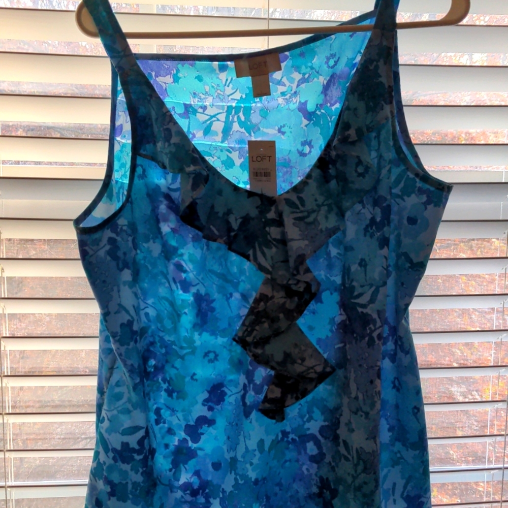 Ann Taylor Loft sheer sleeveless blouse. Size L.